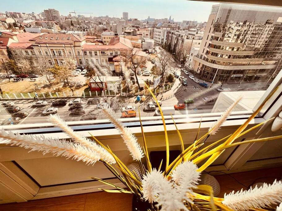 City View Studio In The Heart Of Bucharest Bucareste Exterior foto